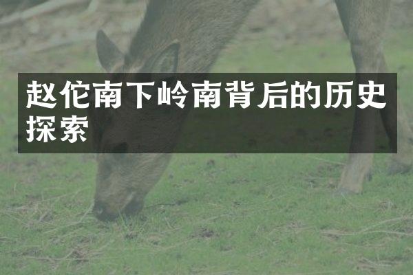 赵佗南下岭南背后的历史探索