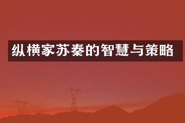 纵横家苏秦的智慧与策略