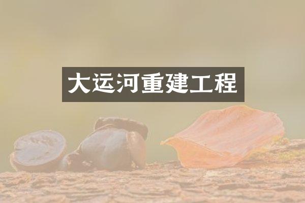 大运河重建工程