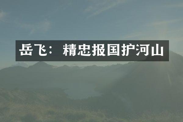 岳飞：精忠报国护河山