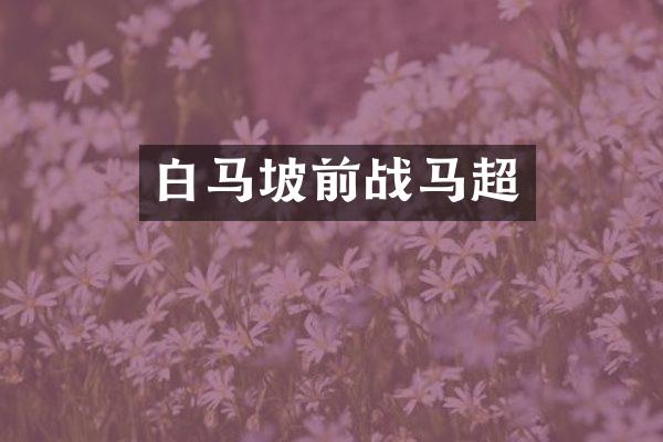 白马坡前战马超