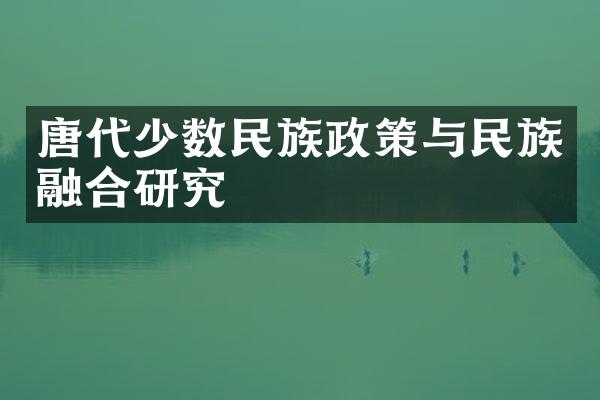 唐代少数民族政策与民族融合研究