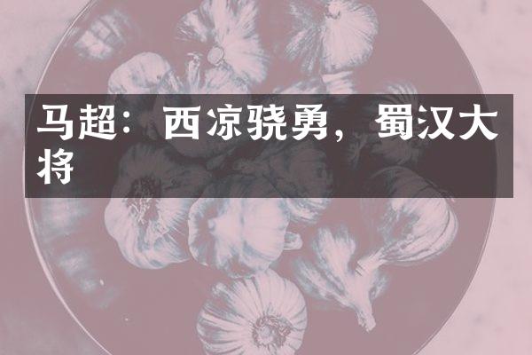 马超：西凉骁勇，蜀汉大将