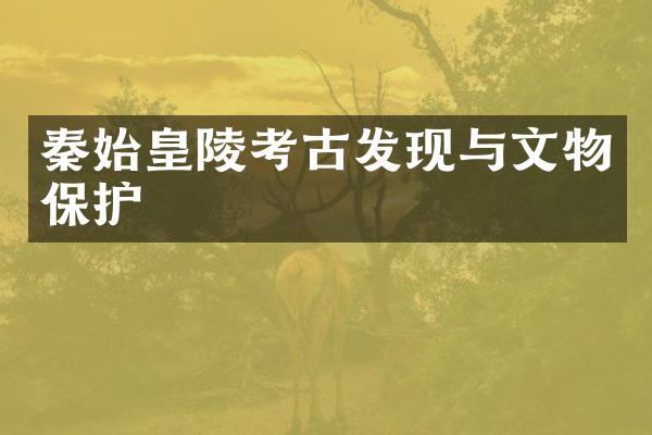 秦始皇陵考古发现与文物保护