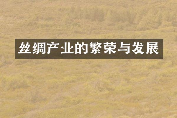 丝绸产业的繁荣与发展