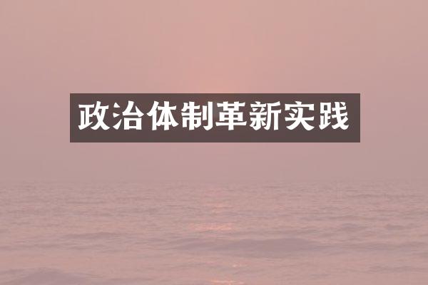 政治体制革新实践