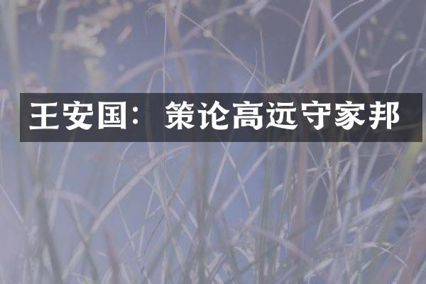 王安国：策论高远守家邦