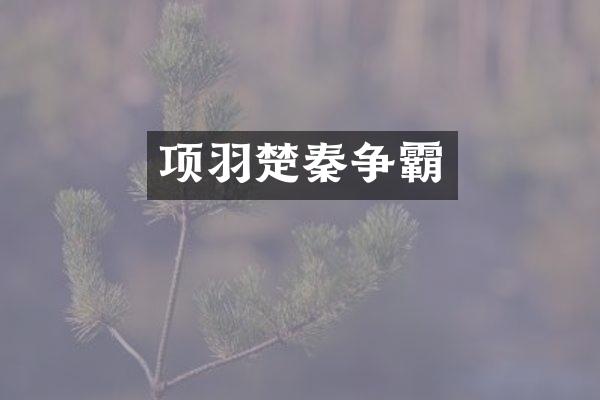 项羽楚秦争霸