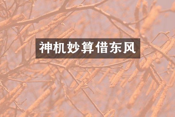 神机妙算借东风