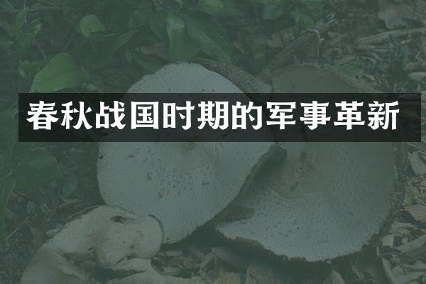 春秋战国时期的军事革新