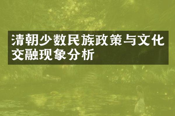 清朝少数民族政策与文化交融现象分析