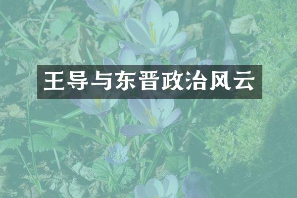 王导与东晋政治风云