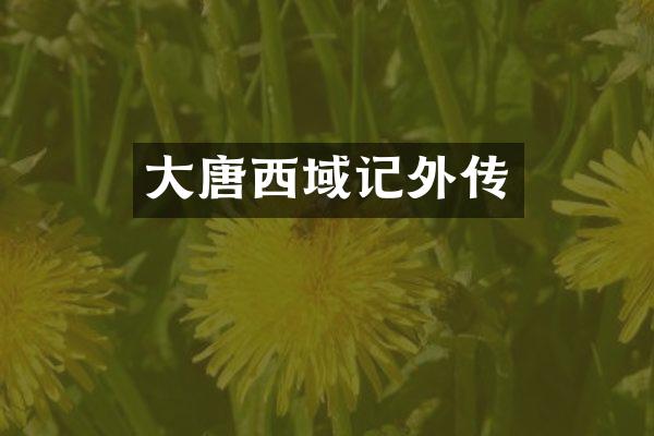 大唐西域记外传