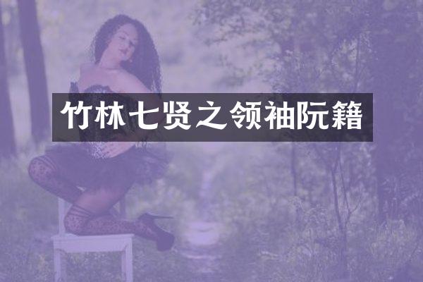 竹林七贤之阮籍