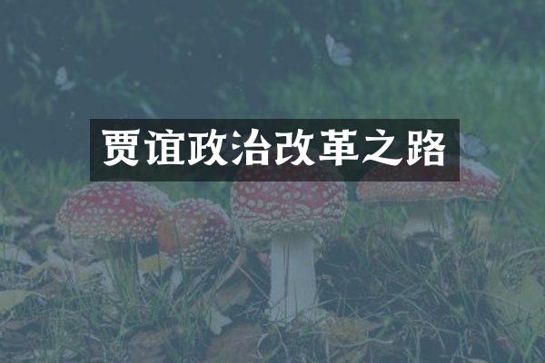 贾谊政治改革之路