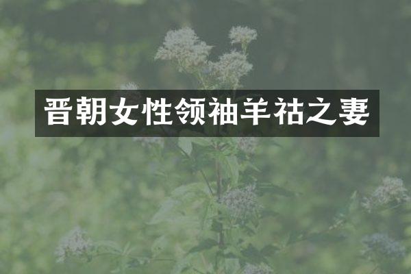 晋朝女性羊祜之妻