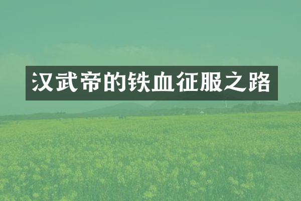 汉武帝的铁血征服之路