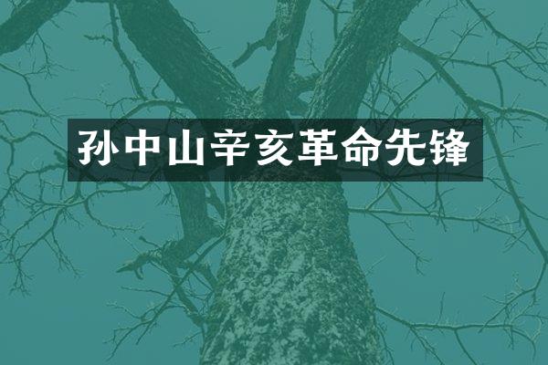 孙中山辛亥革命先锋