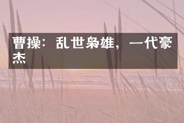 曹操：乱世枭雄，一代豪杰