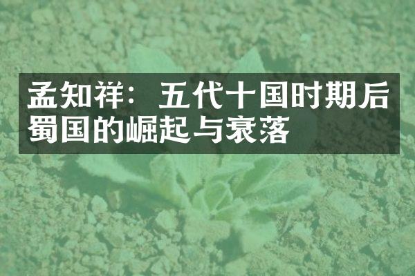 孟知祥：五代十国时期后蜀国的崛起与衰落