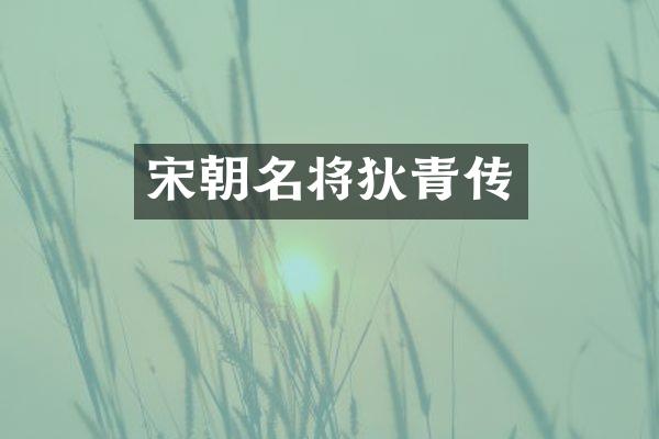 宋朝名将狄青传