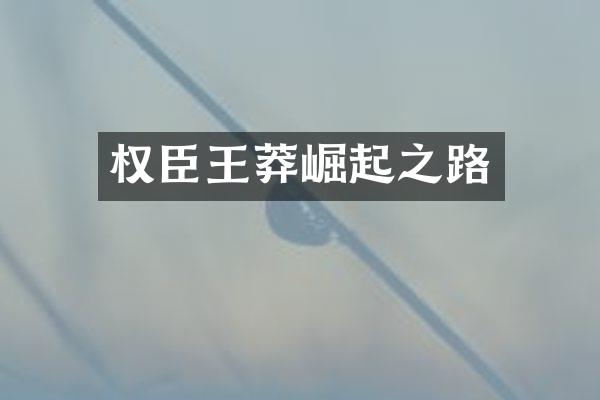 权臣王莽崛起之路
