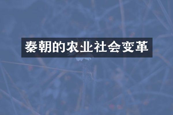 秦朝的农业社会变革