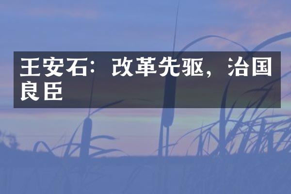 王安石：改革先驱，治国良臣