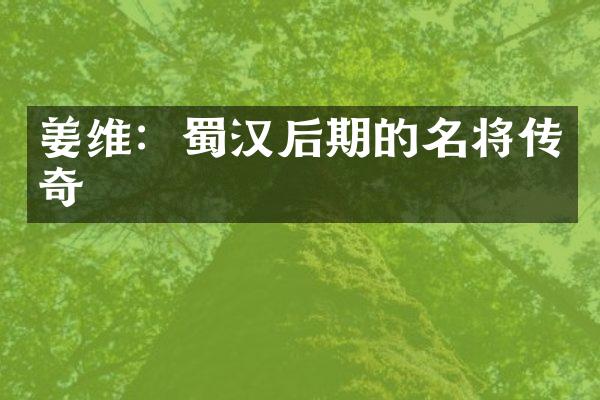 姜维：蜀汉后期的名将传奇