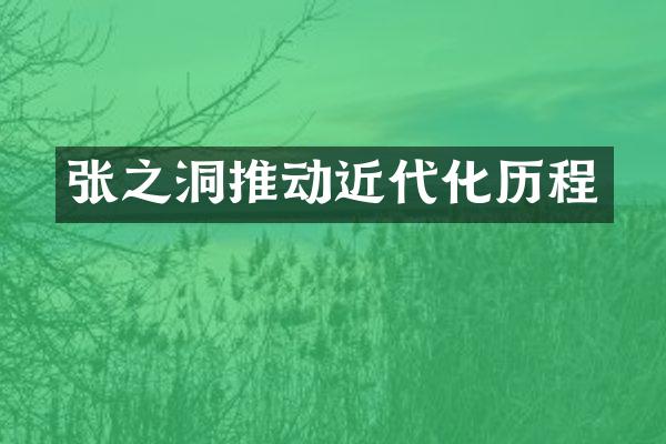 张之洞推动近代化历程