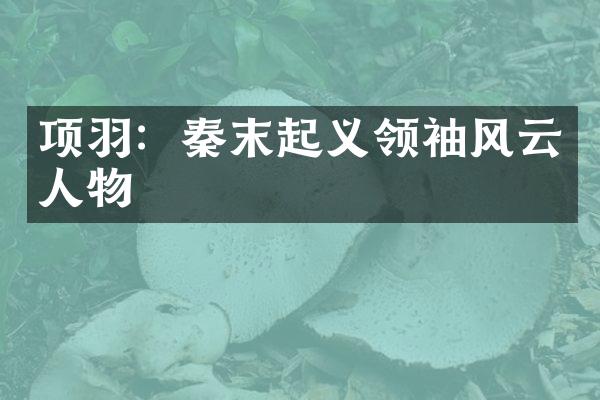 项羽：秦末起义风云人物