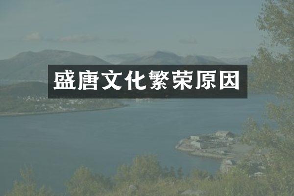 盛唐文化繁荣原因