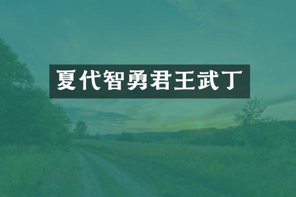 夏代智勇君王武丁