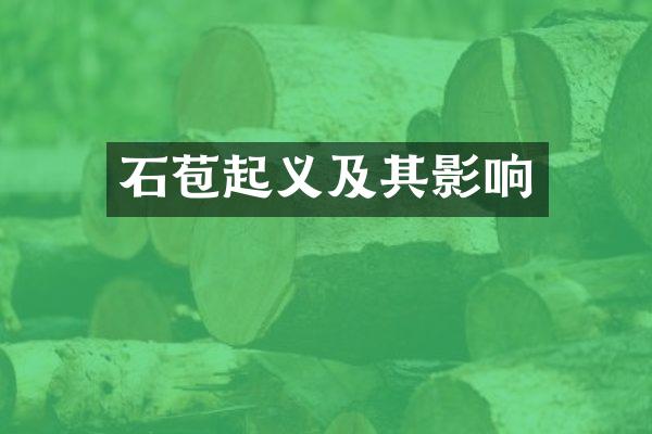 石苞起义及其影响