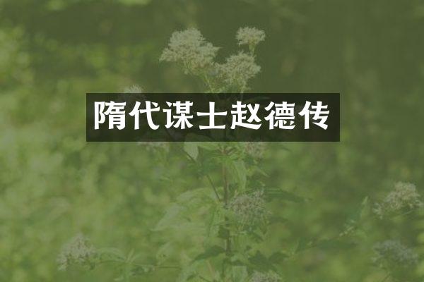 隋代谋士赵德传