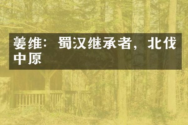 姜维：蜀汉继承者，北伐中原