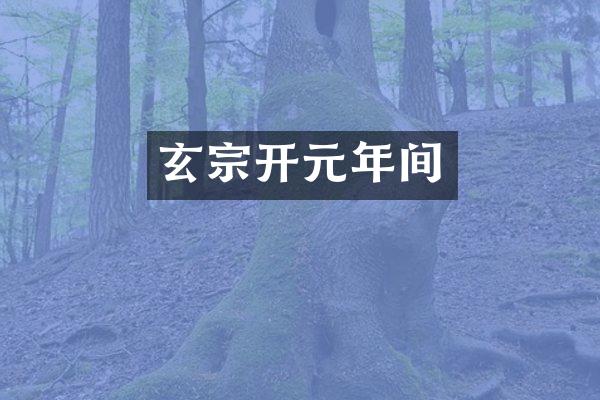 玄宗开元年间