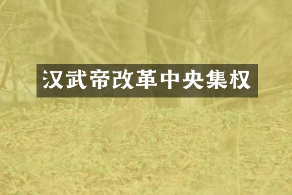 汉武帝改革中央集权