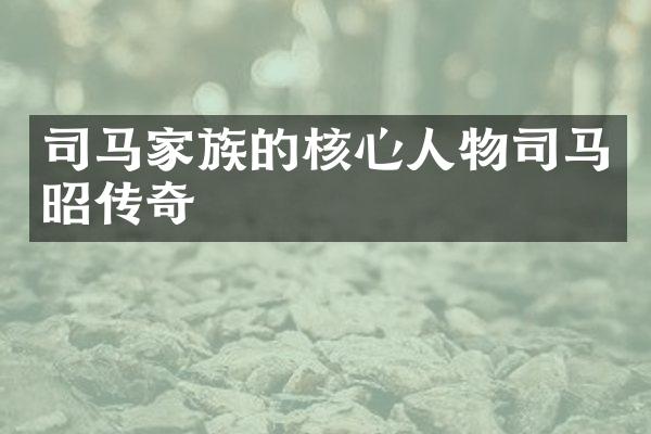 司马家族的核心人物司马昭传奇