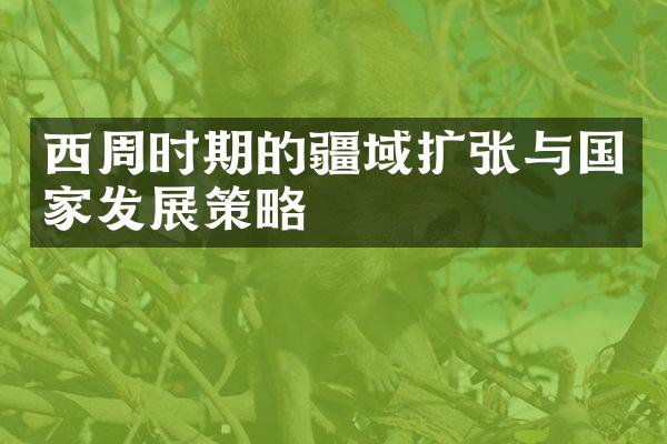 西周时期的疆域扩张与国家发展策略