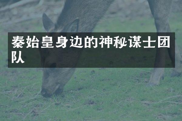 秦始皇身边的神秘谋士团队