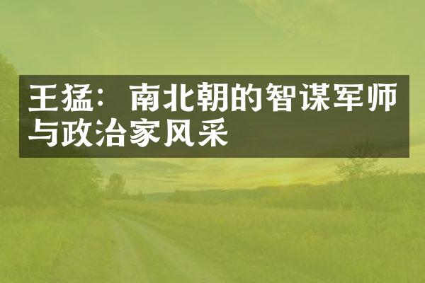 王猛：南北朝的智谋军师与政治家风采