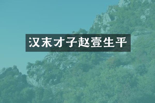 汉末才子赵壹生平