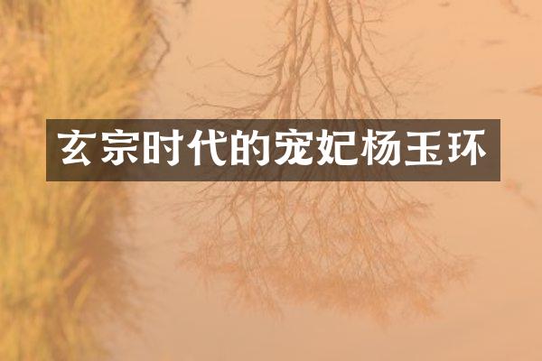 玄宗时代的宠妃杨玉环