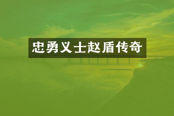 忠勇义士赵盾传奇
