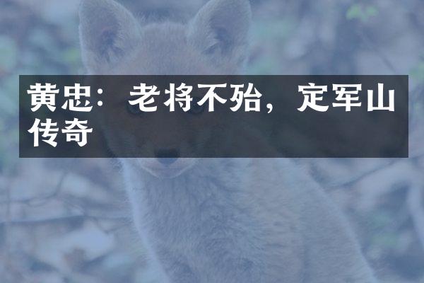 黄忠：老将不殆，定军山传奇