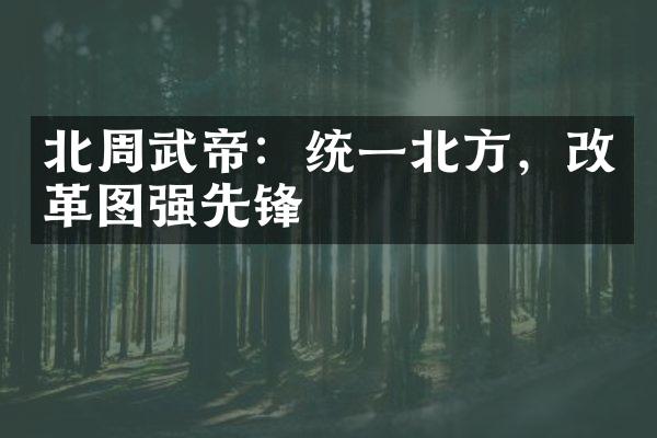北周武帝：统一北方，改革图强先锋
