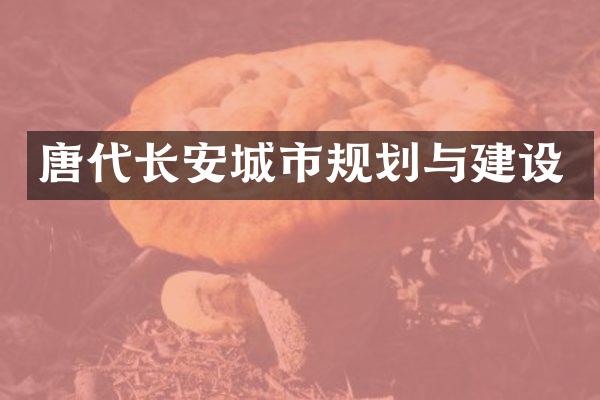 唐代长安城市规划与建设