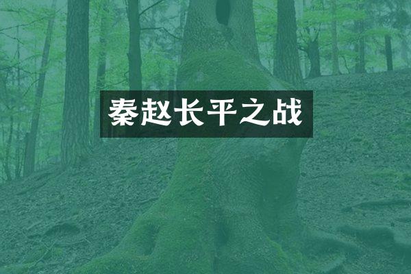 秦赵长平之战