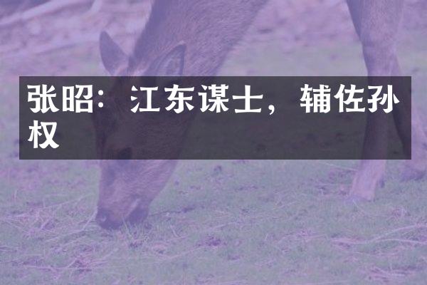 张昭：江东谋士，辅佐孙权